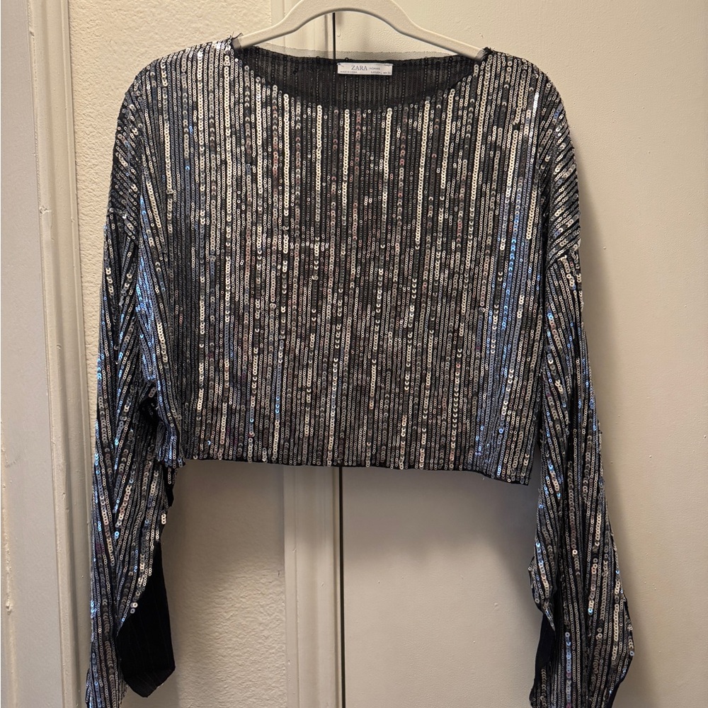 Zara silver sequins top